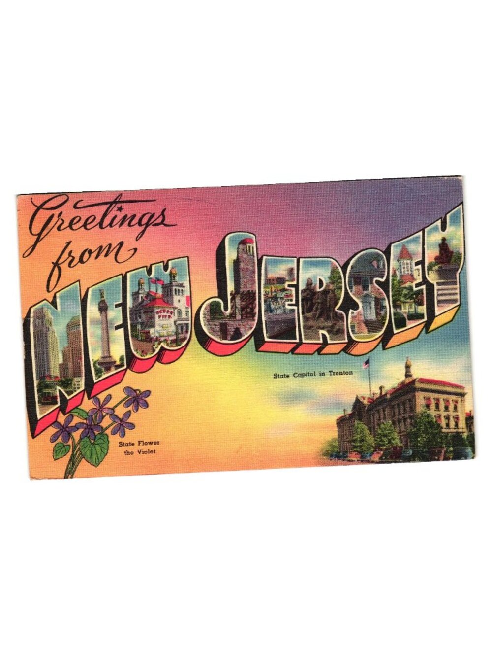 Greetings From New Jersey Vintage 1950s Postcard Scenic Views Violet Tourist